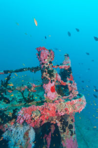 Remaining of cargo ship on ocean bottom, Maldives